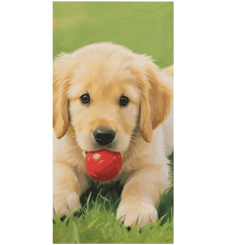 Serviette de plage pour chien en microfibre à séchage rapide, 36 x 72 po