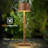 2Pack Cordless Table Lamps Rechargeable,Battery 6000Mah LED Portable Lights For Outdoor/Patio/Restaurant/Indoor Desk Lamp - IP54 Waterproof 3 Colors Stepless Dimming (2Pack)-114903692