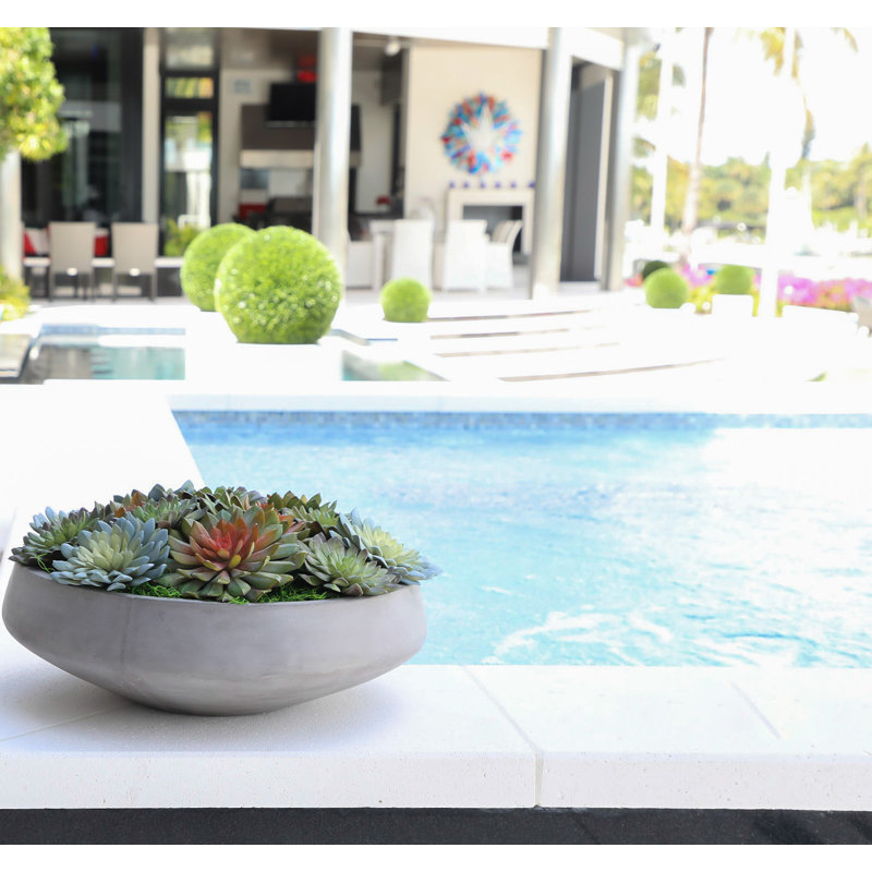 Plante succulent artificielle 2,00" en vase décoratif, H 8 po x l 3 po x P 18 po