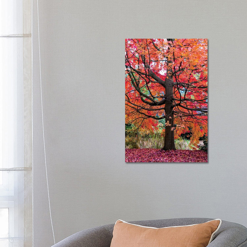 Marvelous Maple by Lars Van De Goor - Wrapped Canvas Print, 66.04 cm H x 45.72 cm W x 3.175 cm D