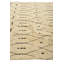 Tapis ivoire 8 x 11 Pinson