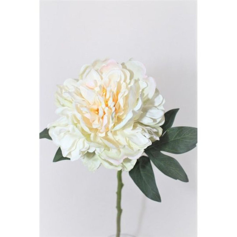 Pivoine fleur artificielle, Crème