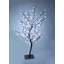 Cherry Lighted Display
