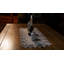 Chemin de table Blough-161619547