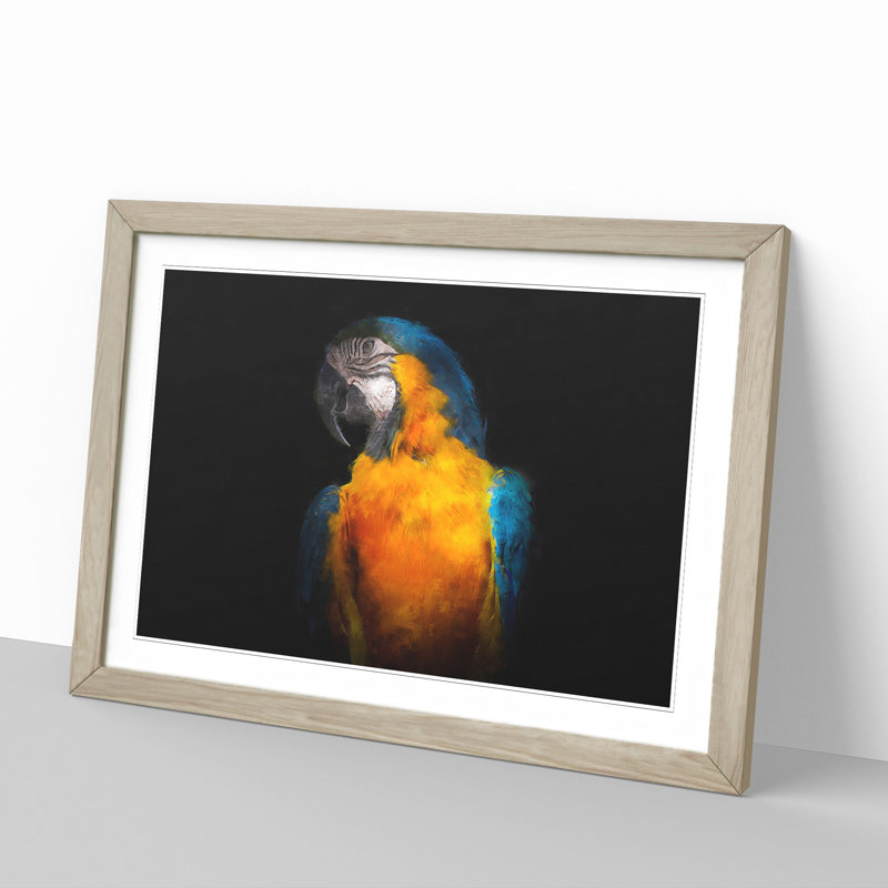 A Blue and Yellow Macaw Parrot - Picture Frame Graphic Art, 27cm H x 36cm W x 2cm D, Oak Framed