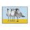 Mouettes aux teintes bloquées, estampe numérique, design par Violeta Vollmer