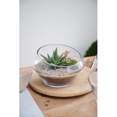 Dynamic Terrarium