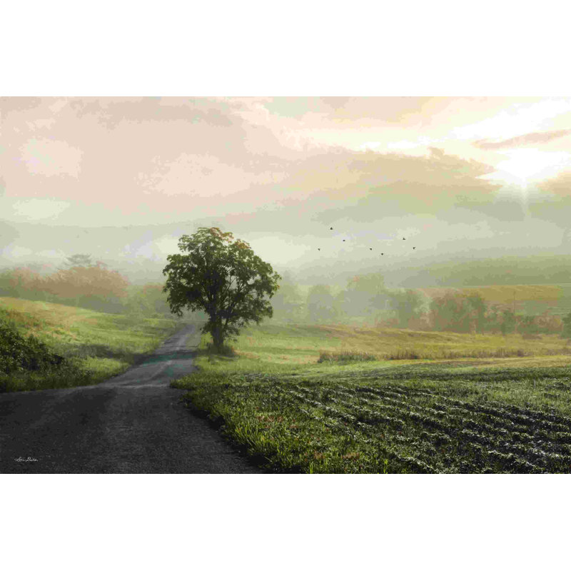 Foggy Country Road II, H 8 po x l 12 po