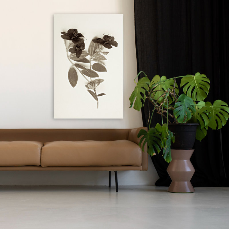 Garden Bloom # 6 - Photographie d'art, H 48 po x l 32 po