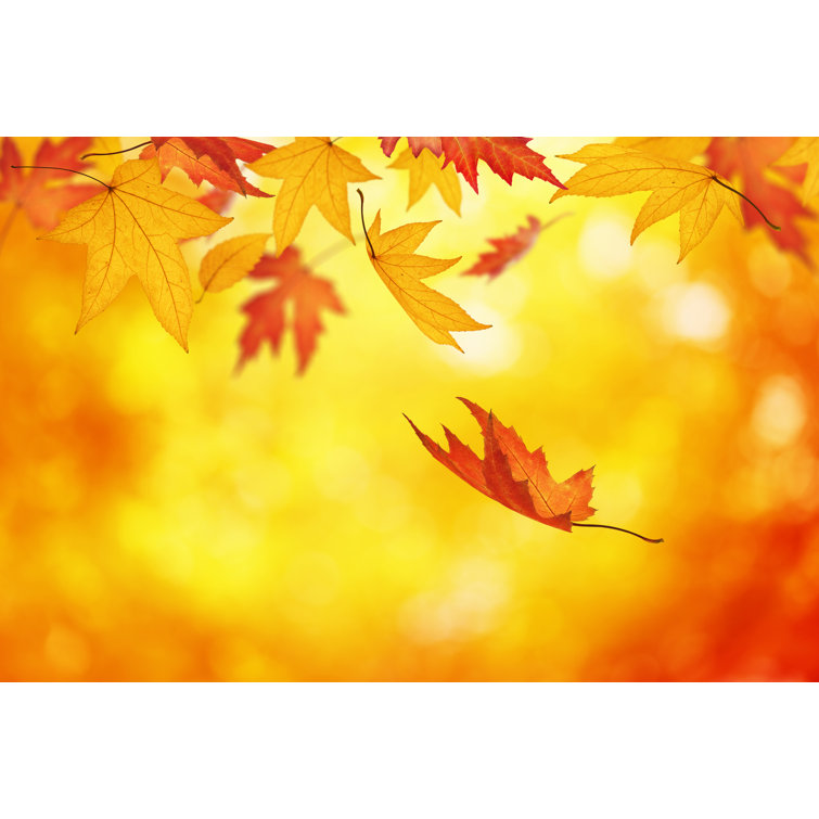 Colorful Autumn by Borchee - No Frame Print on Canvas