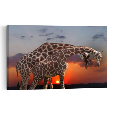 Gentle Giraffes Sunset Elegant Peaceful Serene Giraffe Nature Sunset Wall Art Print by Anna Cseresnjes - Print