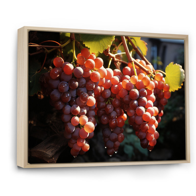 Scenic Vineyard Golden Harvest, Cadre naturel flottant, H 24 po x l 32 po x P 1 po