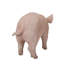 Statue bébé cochon debout-120494331