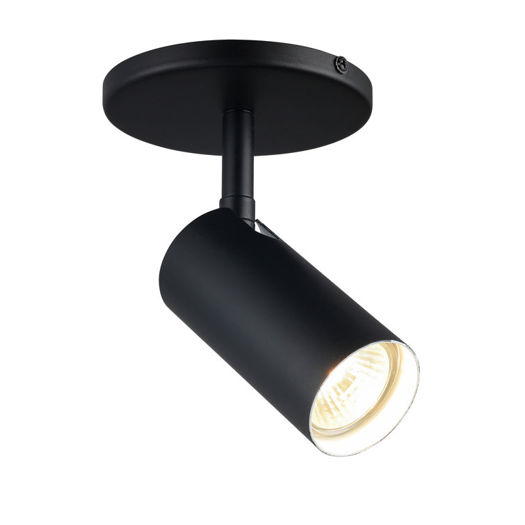 Projecteur 1 lumière Bivian