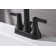 Davvid Centerset 2-handle Bathroom Faucet with Drain Assembly