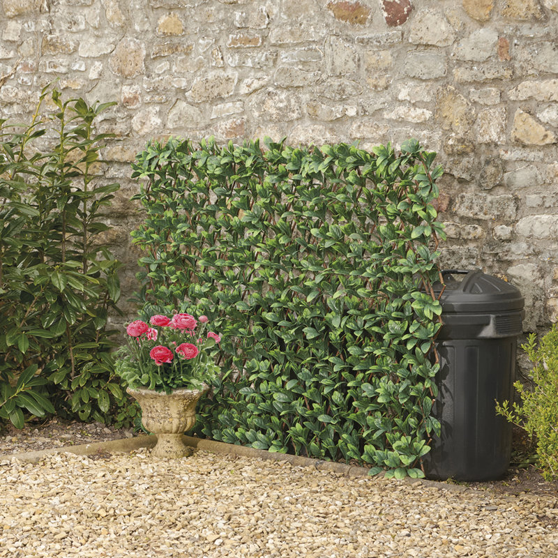 Talamantez 200cm H x 100cm W Wood Expanding Trellis