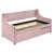 Rose est en rupture de stock