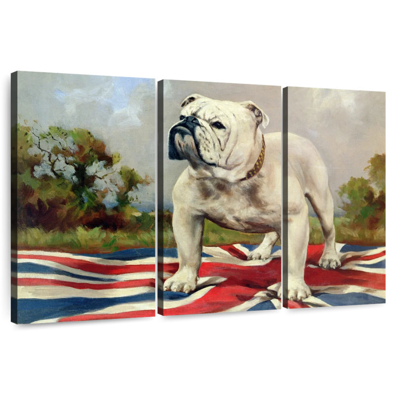 British Bulldog Poise, H 28 po x l 45 po