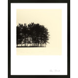 Copse By Peter Dušek - Framed Wall Art