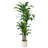 Adcock 70" Artificial Dracaena Tree in White Planter, Lifelike Fake Plant for Indoor and Outdoor Décor-1484438040