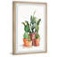 Cactus Variety by Parvez Taj - Single Picture Frame Painting-38598711