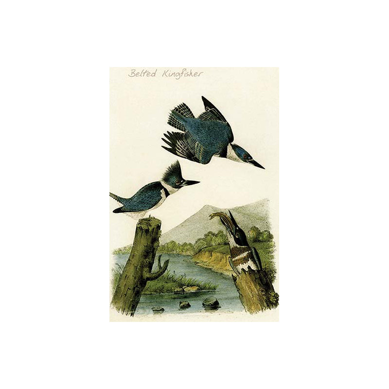 Kingfisher-1 impression d’art graphique, H 66 po x l 44 po x P 1,5 po