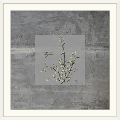 «Thym concret» par Redmayne, reproduction de photo