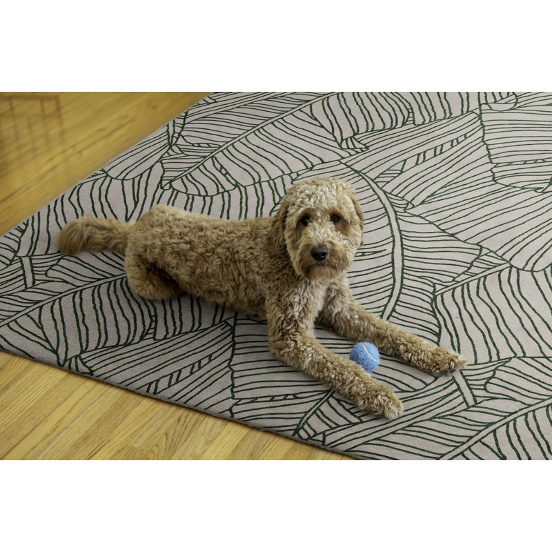 Tapis intérieur / extérieur Kivett Leaf, Rectangle 5 pi x 7 pi