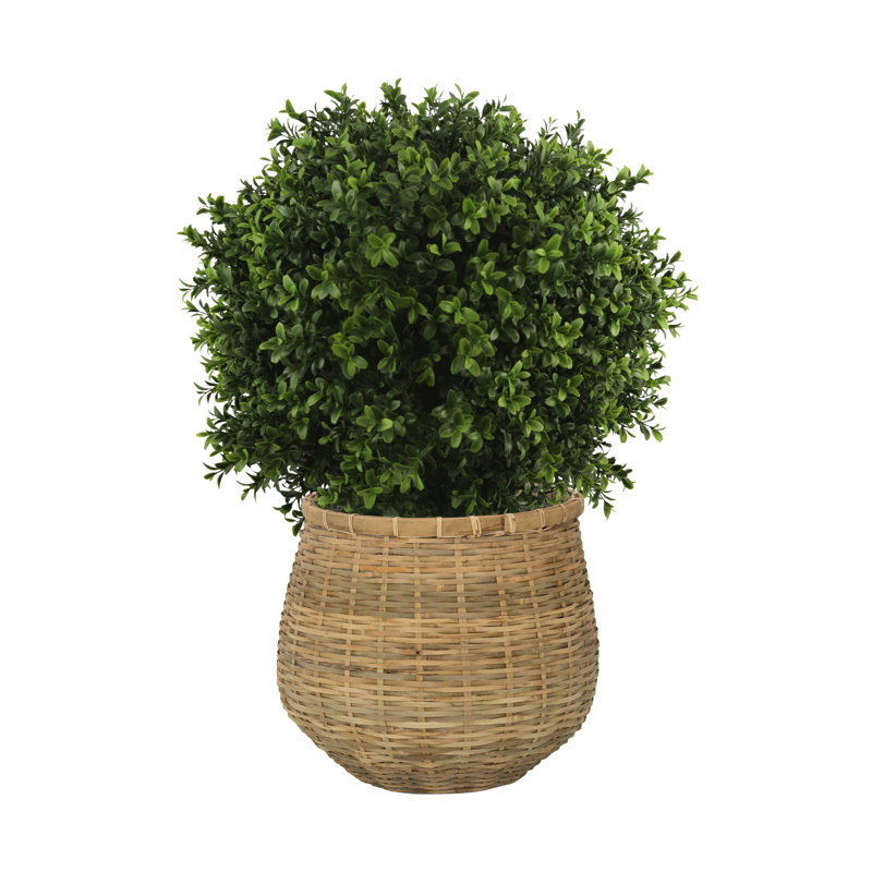 Seville Faux Boxwood Topiary in Cement/Bamboo Planter