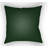 Outdoor Throw Pillow-15850307-15850306
