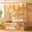 Oversized Space Voice-Controlled Light Modular Cat House