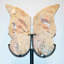Ailes de papillon rose améthyste rose sur pied