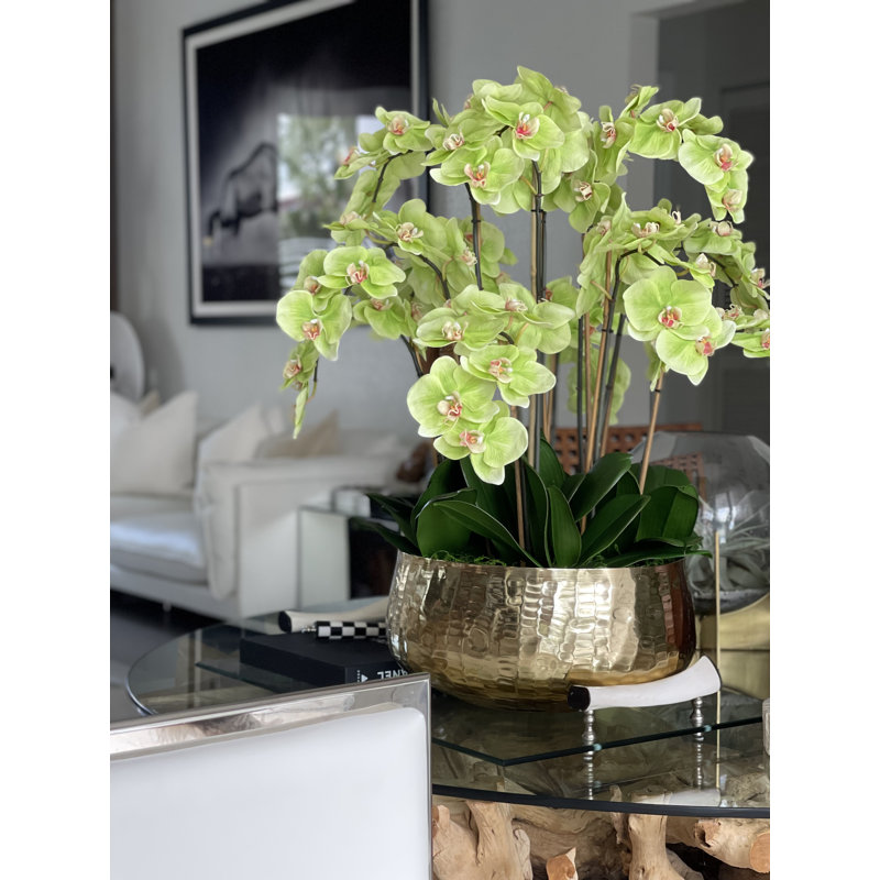 Pot à tiges d'orchidée Roberi, H 30 po x l 22 po x P 22 po, Vert