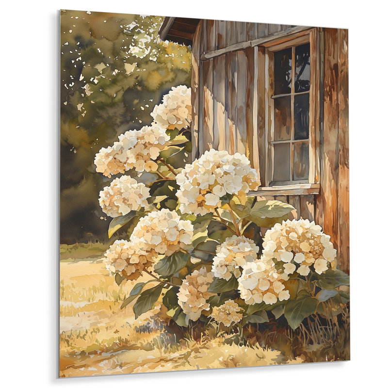 Hydrangeas In The Chicken Coop - Hydrangea Print On Metal, 32" H x 24" W