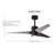 Ceiling Fan with LED Lights-1457521-82883355-5289485