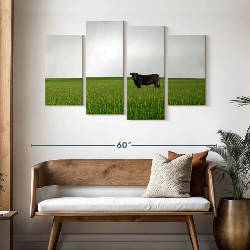 Brampt Angus Cow