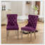 Chaise de salle à manger rembourrée en velours moderne avec anneau à tirer (ensemble de 2)-1415673428-1415673423