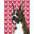 Boxer (brun et blanc