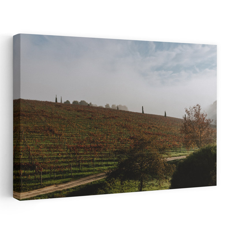 Misty Autumn Vineyard Peaceful Rustic Serene Autumn Landscape Wall Art Print 1 Piece Wrapped Canvas Wall Art