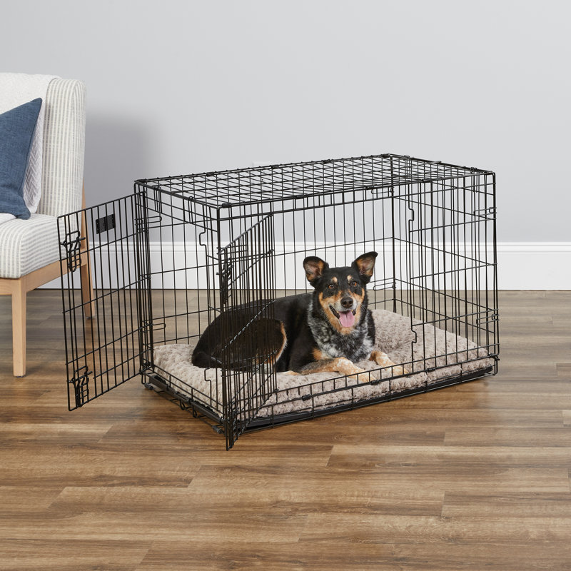 Black Double Door Folding Metal Dog Crate, 36"