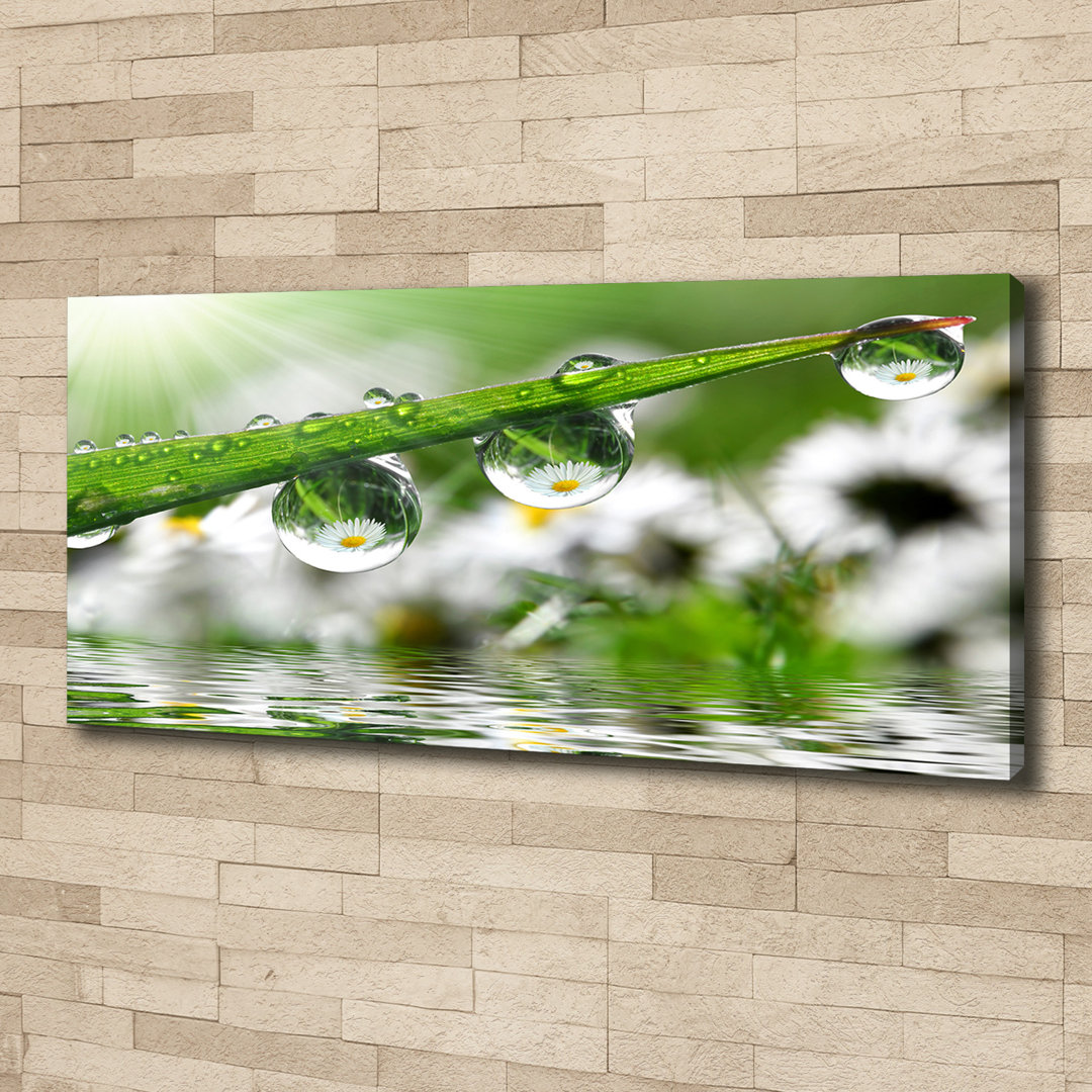 Drops on the Grass - Ungerahmte Kunstdrucke auf Leinwand