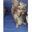 Woodland Squirrel Statue: Chomper