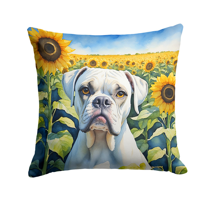 Coussin décoratif intérieur / extérieur Autre / Sans motif, H 18 po x l 18 po