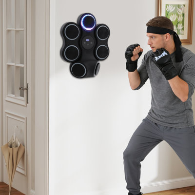 Wall-Mounted Boxing Target