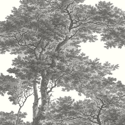 Trees 3m x 3m Photographic Wallpaper Roll