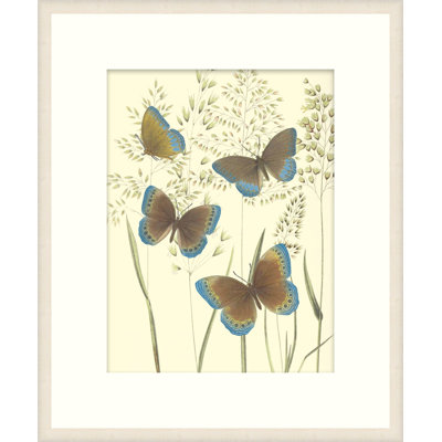 Mariposas 1 Print