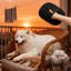 Gants pour animaux