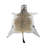 Real Zebra Skin Rug