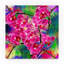 « fleur spring 2 », reproduction d’impression sur toile tendue-31976231