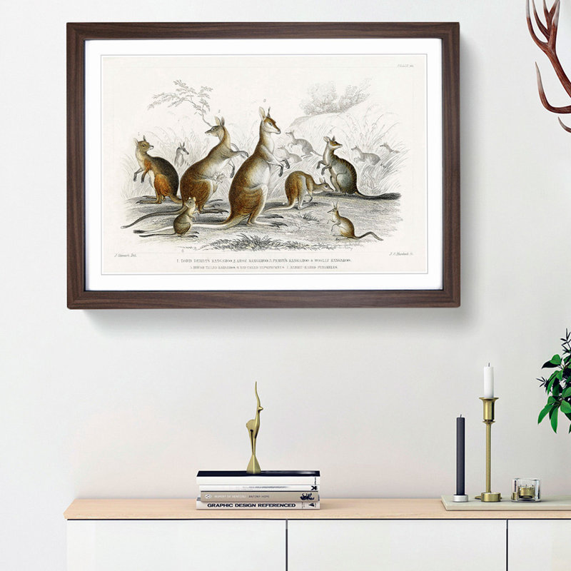 Kangaroos by Oliver Goldsmith - Picture Frame Graphic Art Print, 48cm H x 65cm W x 2cm D, Walnut Framed